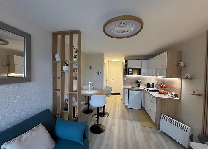 Abbaye Du Cap, Jolie , Cap D'agde Διαμέρισμα Agde